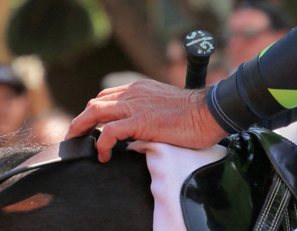 The hands of Hall of Fame jockey Gary Stevens. (Julie June Stewart photo)